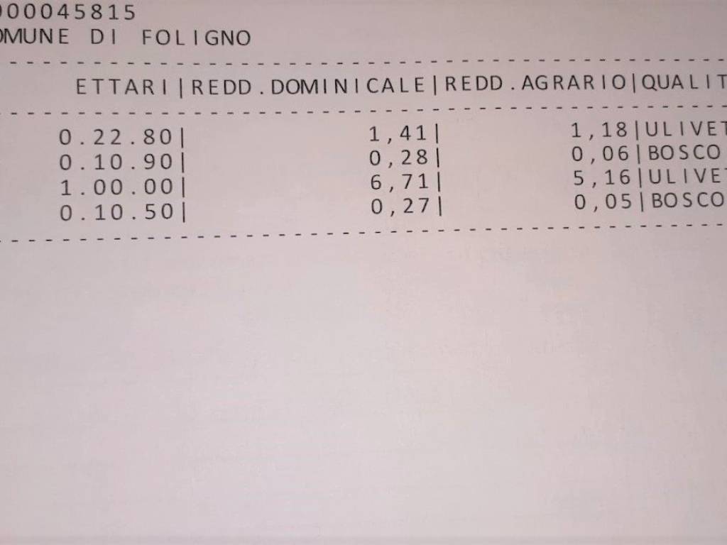 immagine annuncio 2 di 4