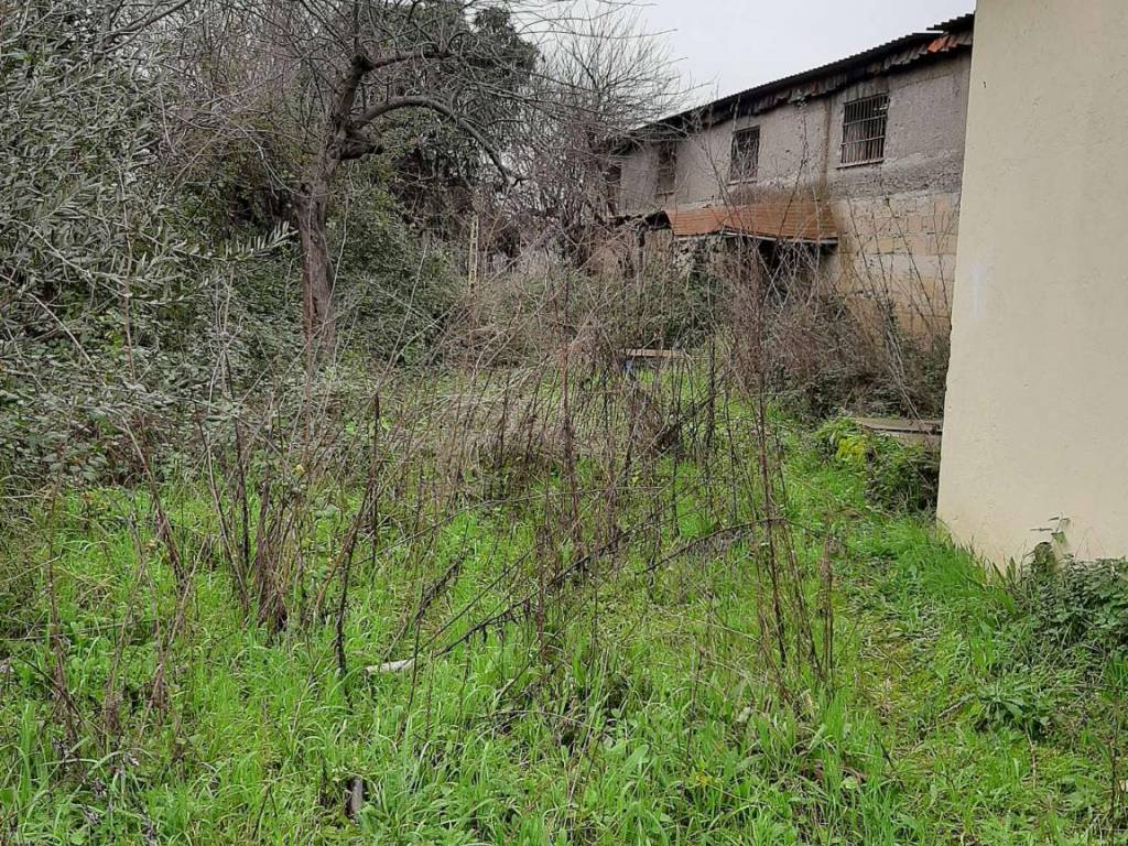 immagine annuncio 1 di 4
