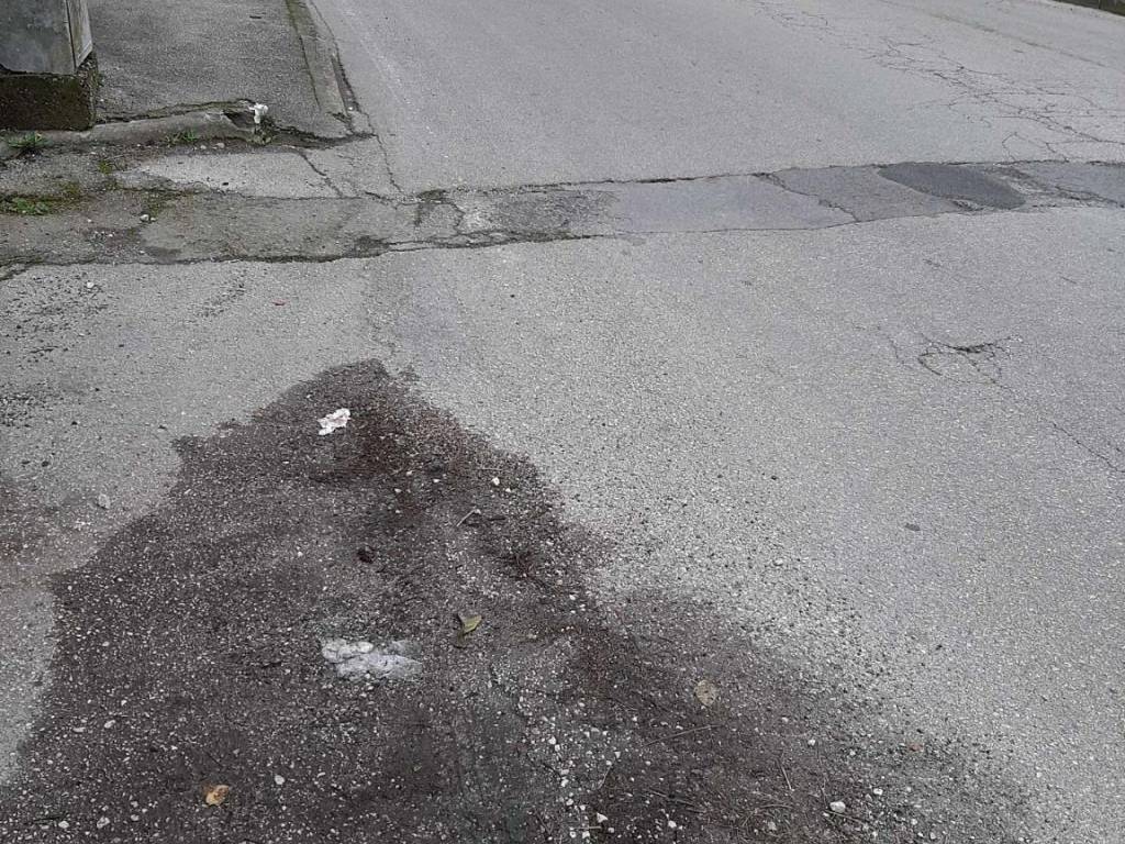 immagine annuncio 3 di 4