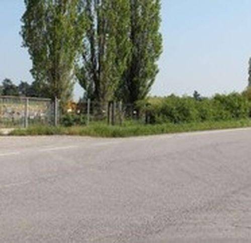 immagine annuncio 2 di 3