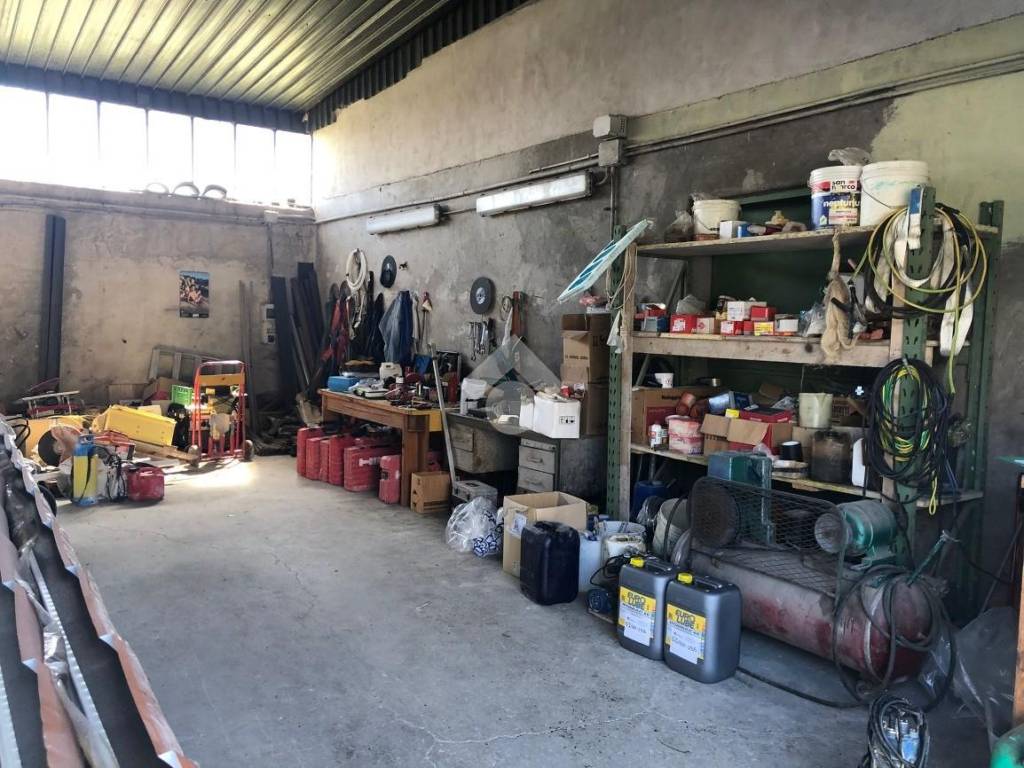 immagine annuncio 4 di 5