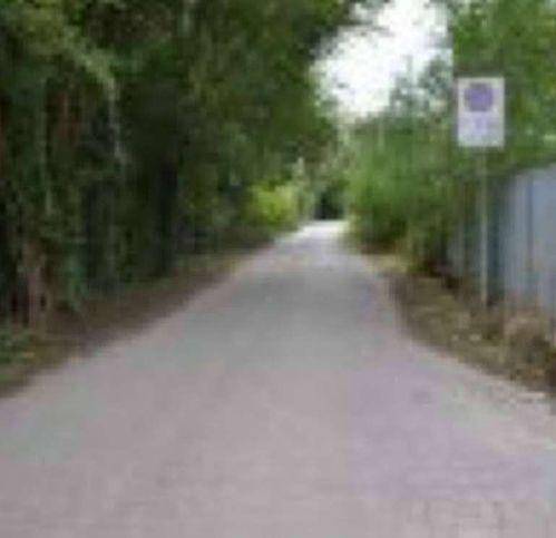 terreno agricolo in vendita a Verona