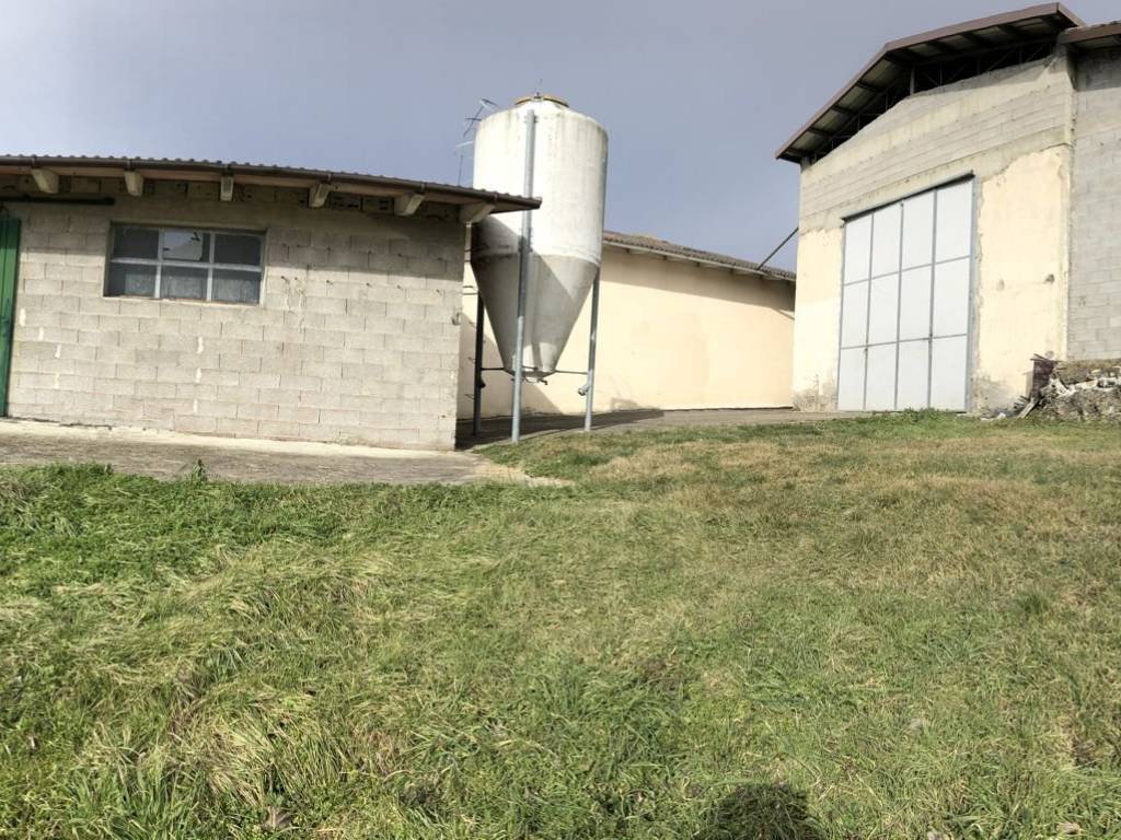 immagine annuncio 3 di 5