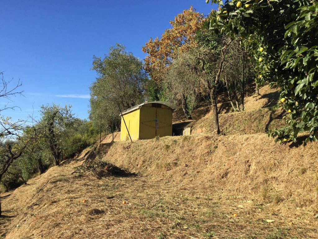 immagine annuncio 1 di 4