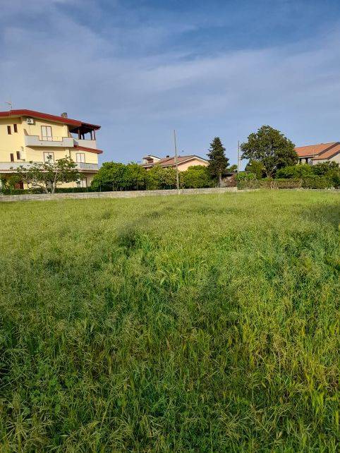 immagine annuncio 1 di 3