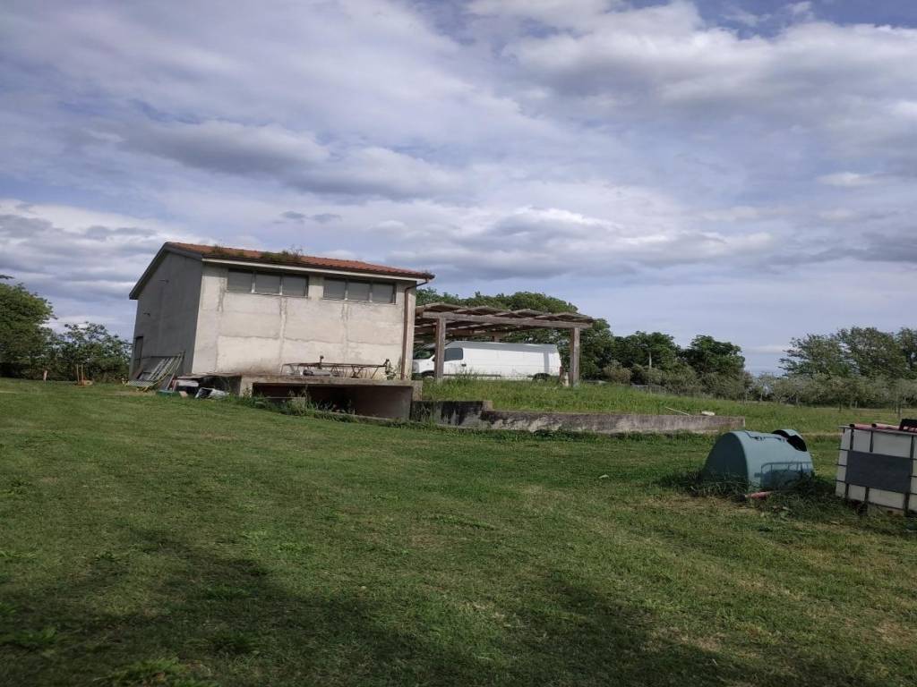 immagine annuncio 1 di 2