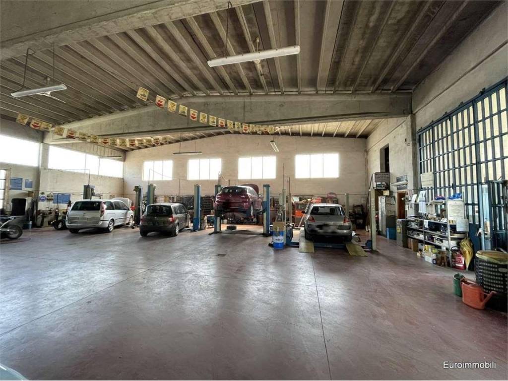 immagine annuncio 3 di 5