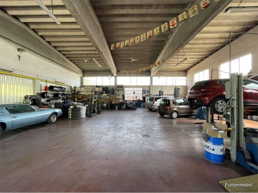 immagine annuncio 4 di 5