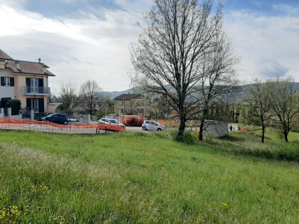 immagine annuncio 3 di 4