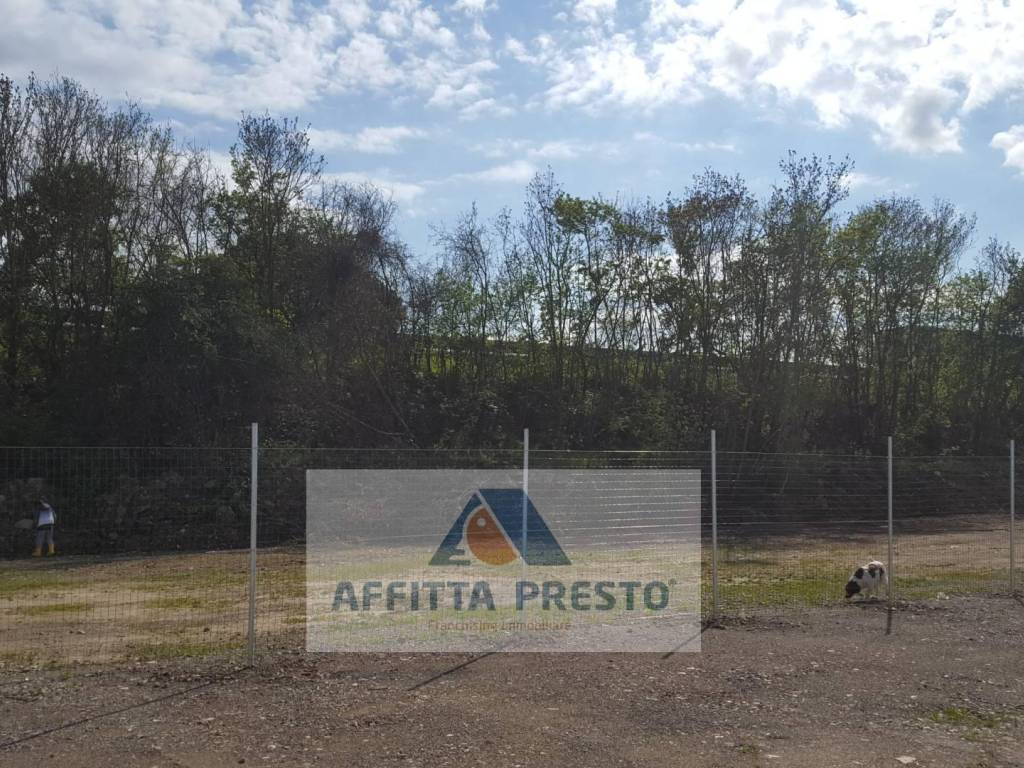 immagine annuncio 2 di 3