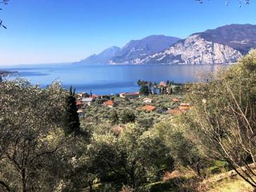 immagine annuncio 1 di 2