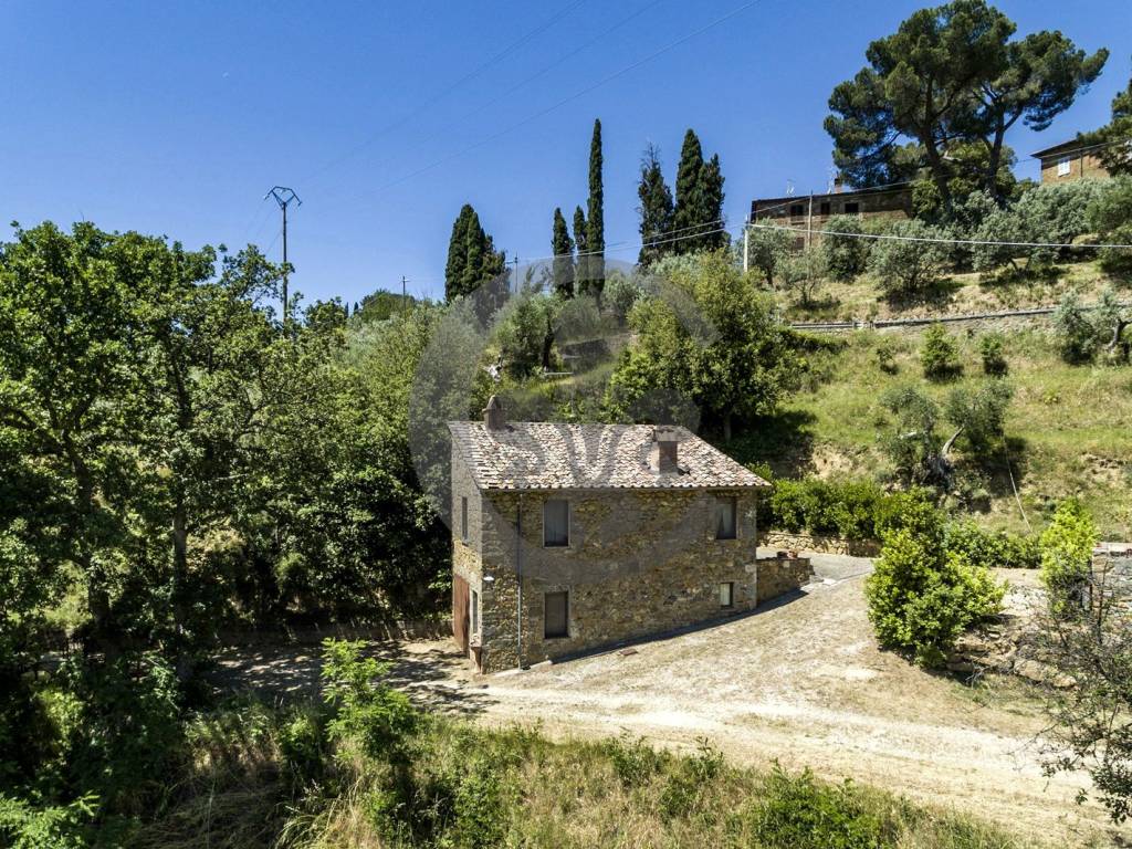 Azienda agricola Vendita, Trequanda, rif. 89238397 Immobiliare.it