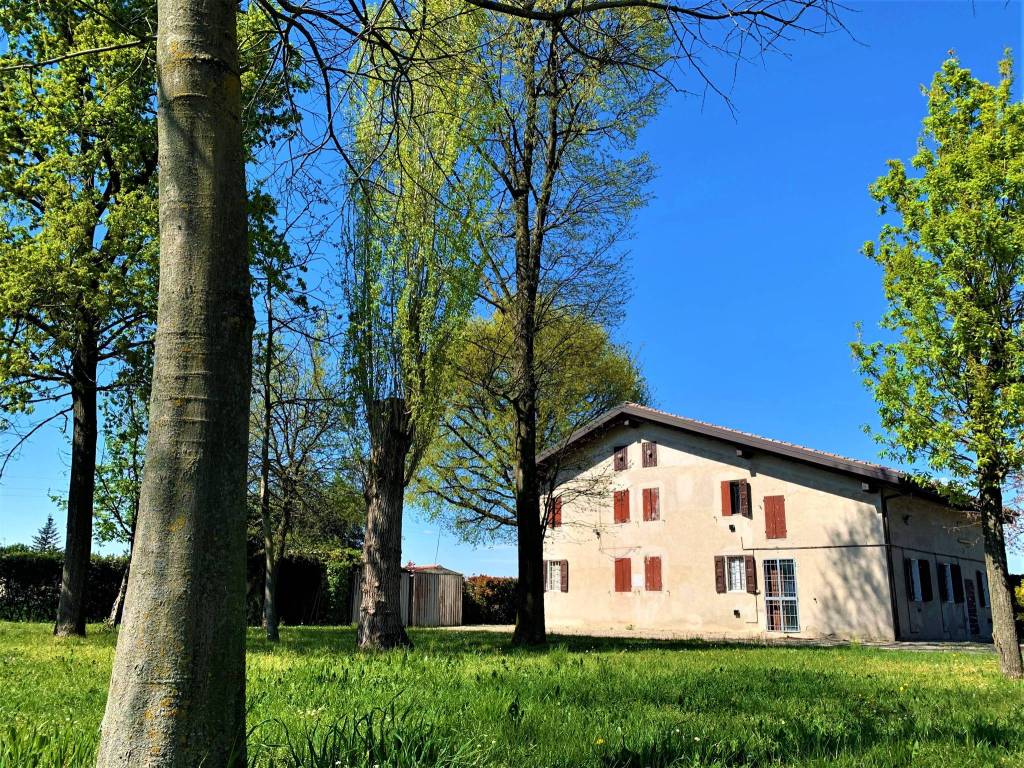 immagine annuncio 3 di 5