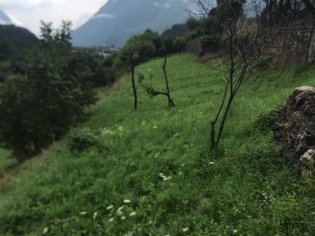 immagine annuncio 2 di 4