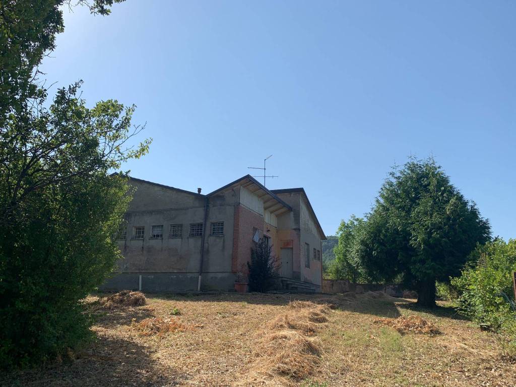 immagine annuncio 2 di 3