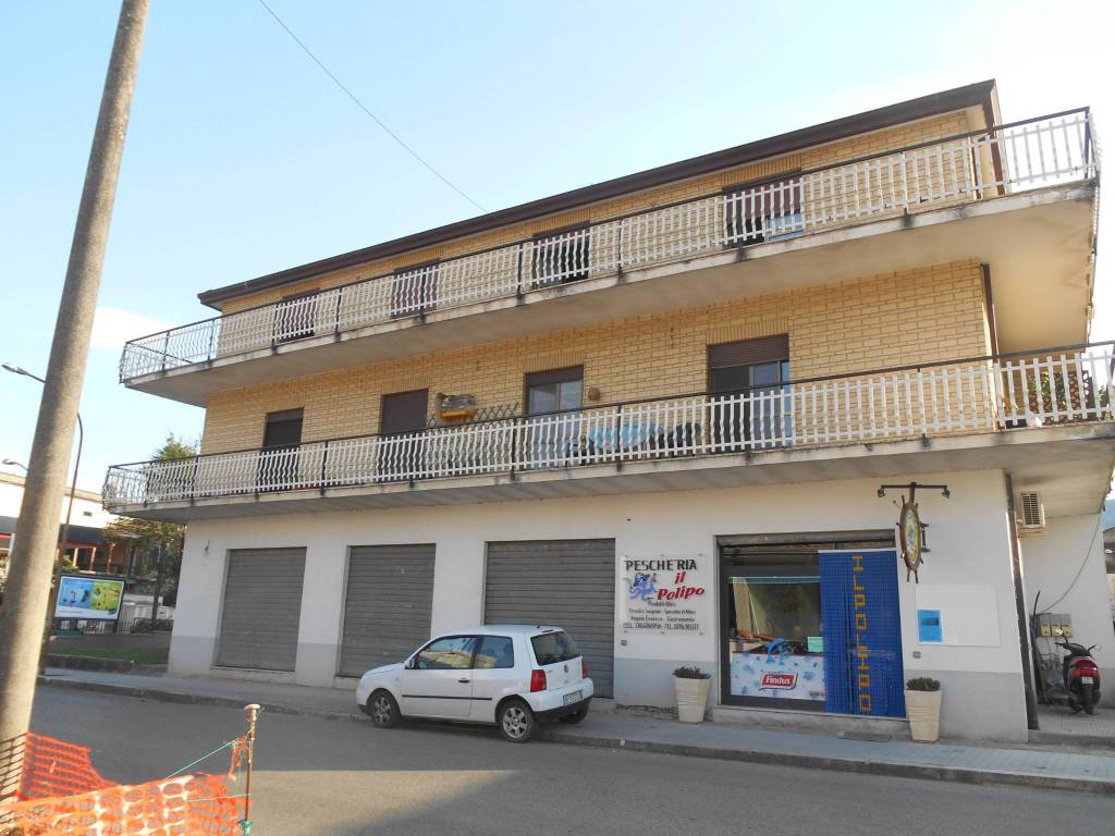 immagine annuncio 2 di 3