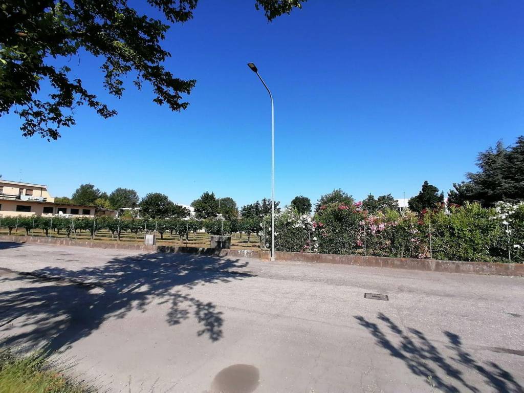 immagine annuncio 1 di 4