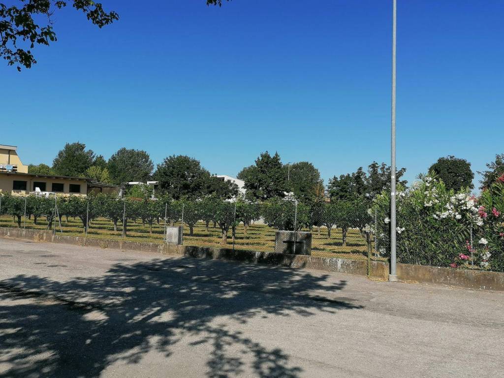 immagine annuncio 3 di 4