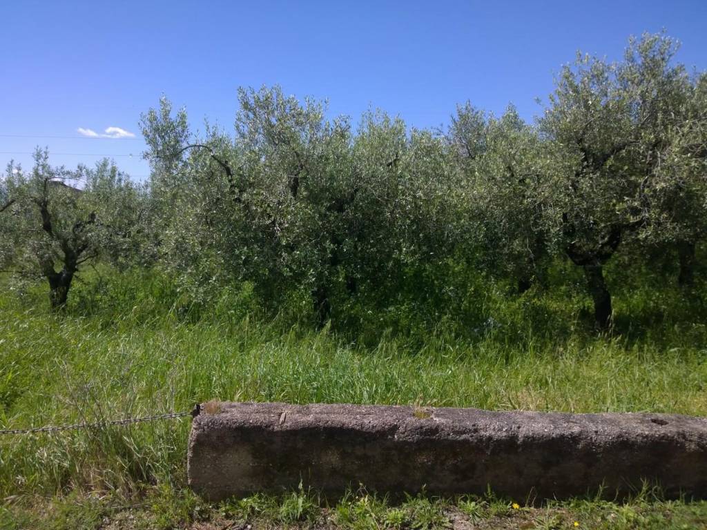 immagine annuncio 1 di 4