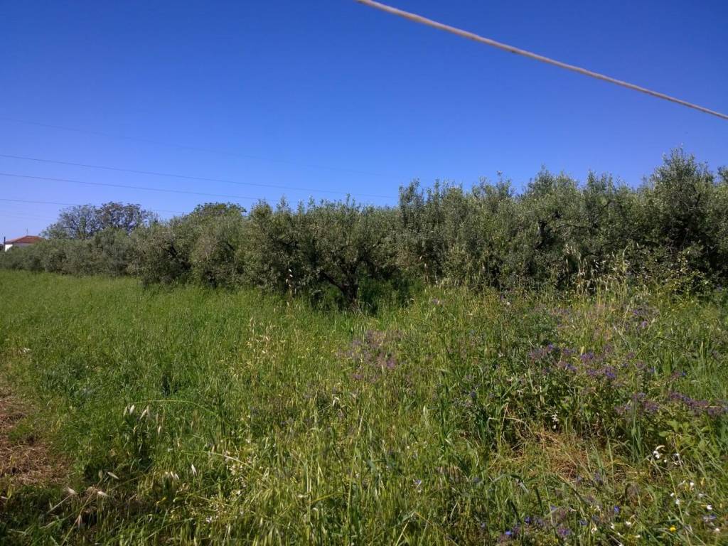 immagine annuncio 3 di 4