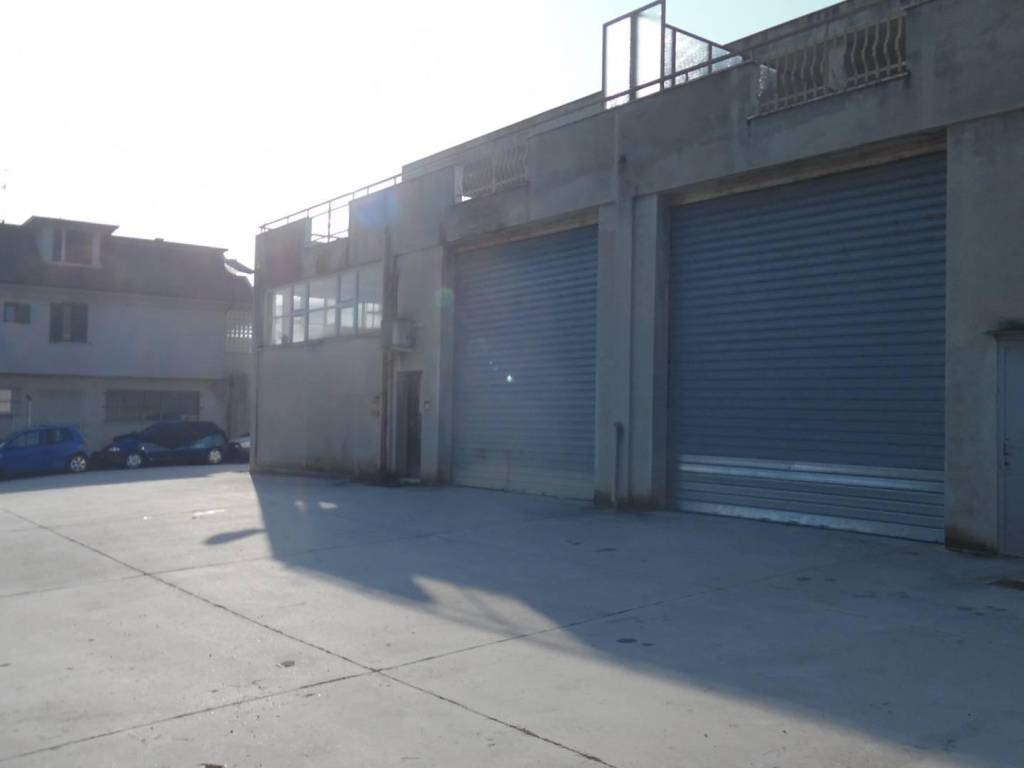 immagine annuncio 1 di 5