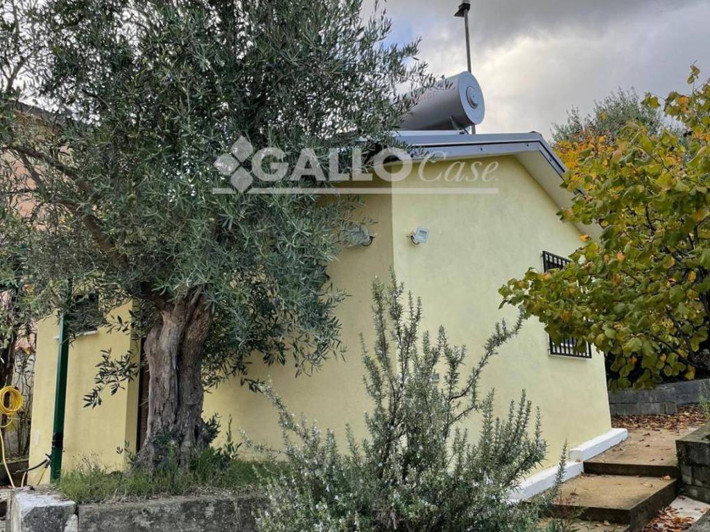 immagine annuncio 4 di 5