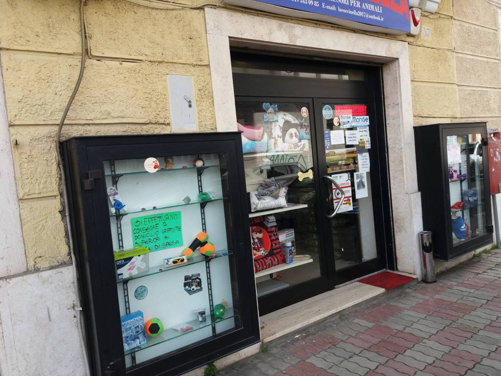 immagine annuncio 4 di 5