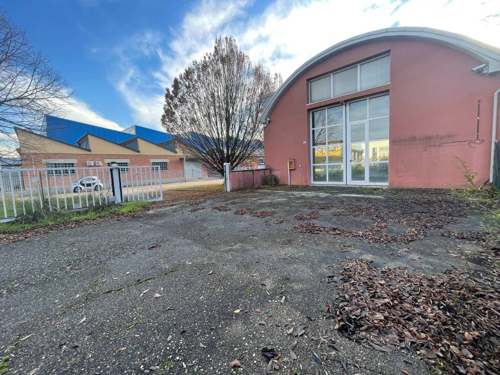 immagine annuncio 2 di 5