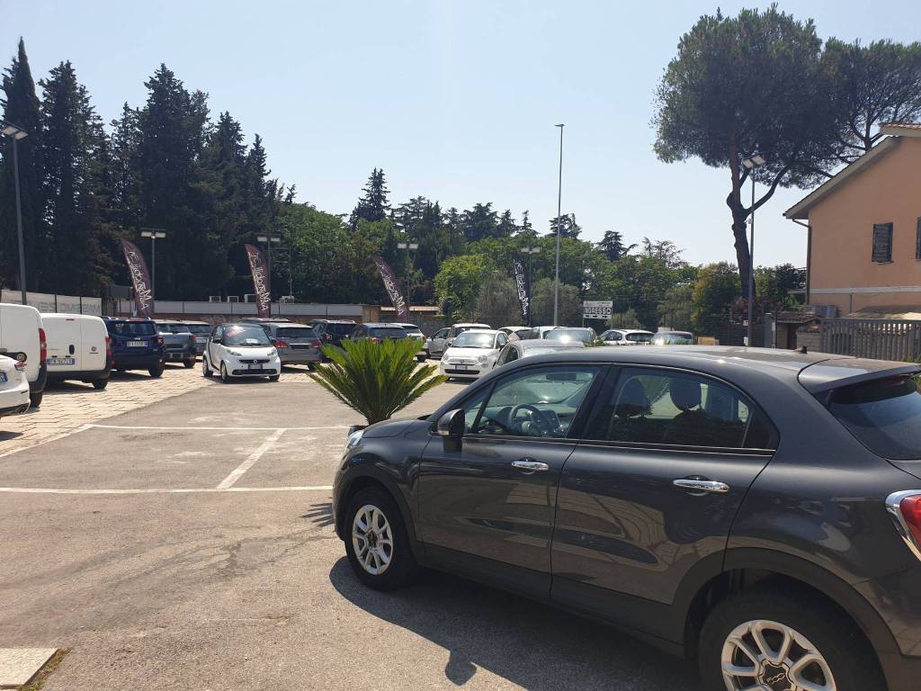 immagine annuncio 4 di 5