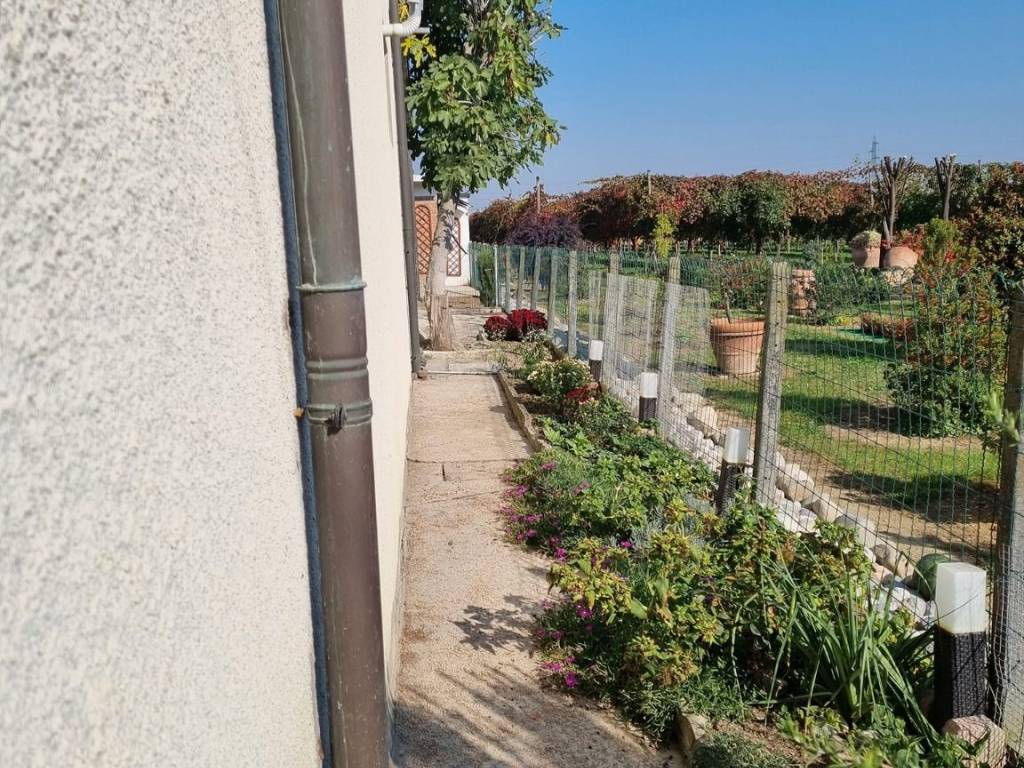 immagine annuncio 2 di 4