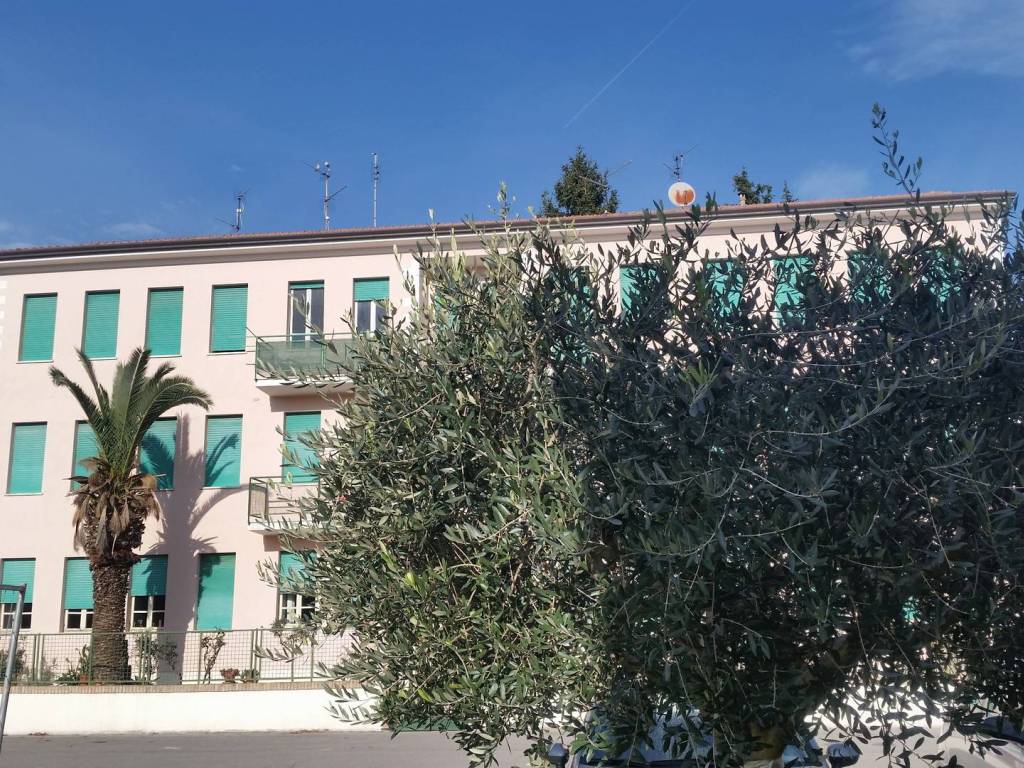 immagine annuncio 2 di 4
