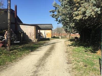 immagine annuncio 3 di 4