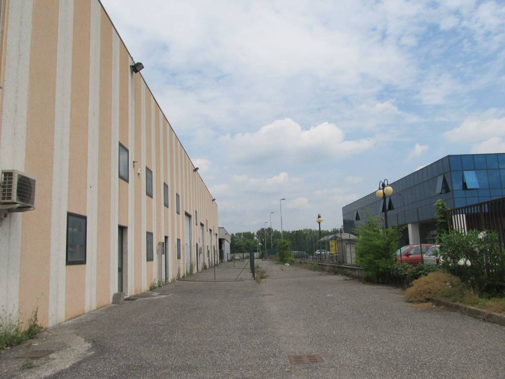 immagine annuncio 2 di 5