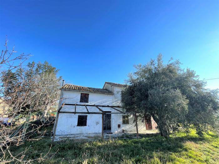 immagine annuncio 1 di 4