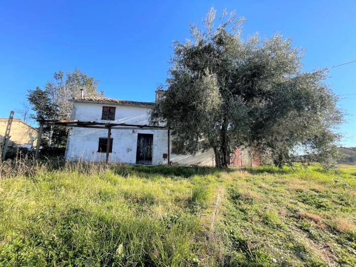 immagine annuncio 2 di 4