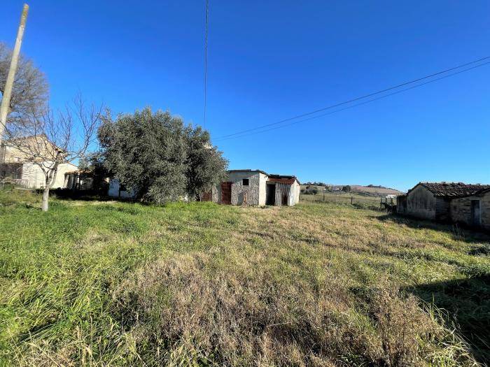 immagine annuncio 3 di 4