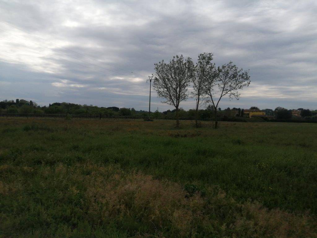 immagine annuncio 2 di 4