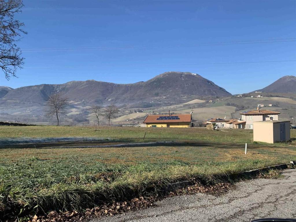 immagine annuncio 2 di 4