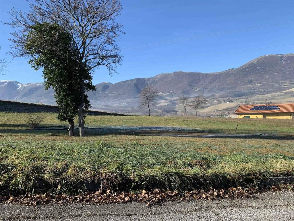 immagine annuncio 3 di 4