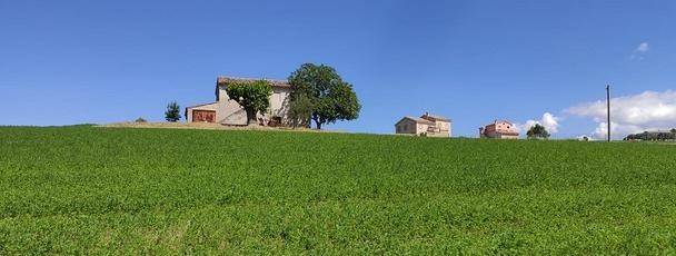 immagine annuncio 1 di 3