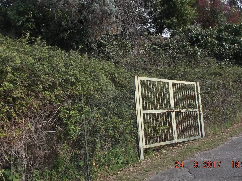 immagine annuncio 2 di 4