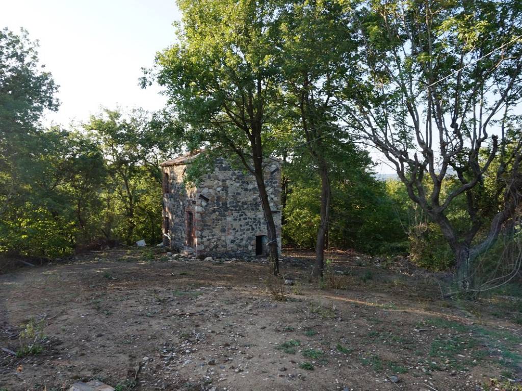 immagine annuncio 0 di 1