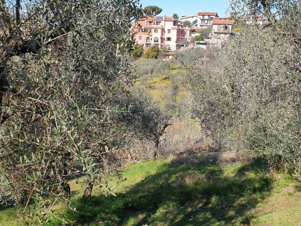 immagine annuncio 1 di 4