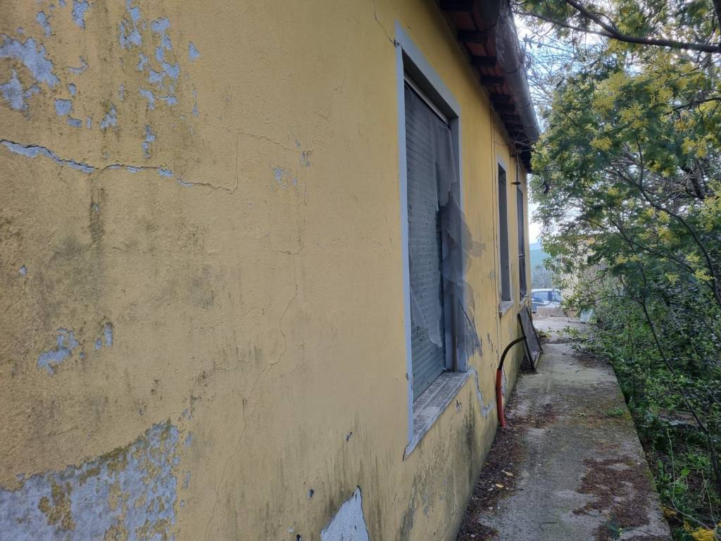 immagine annuncio 2 di 3