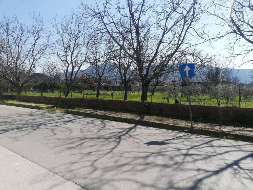 immagine annuncio 2 di 3