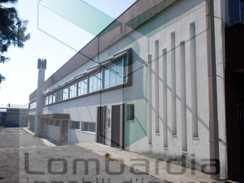 immagine annuncio 1 di 5