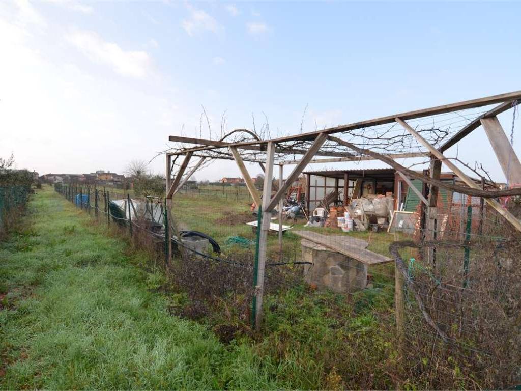 immagine annuncio 1 di 2