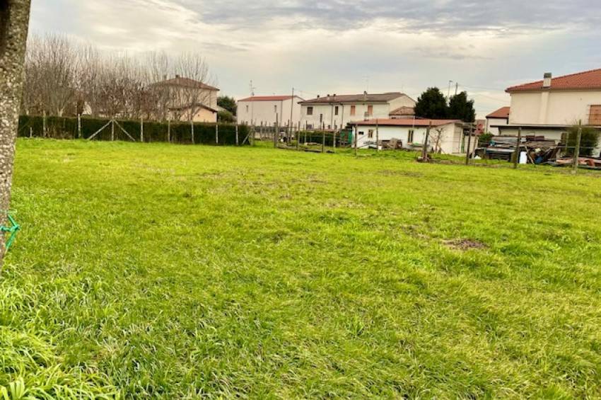 immagine annuncio 1 di 4