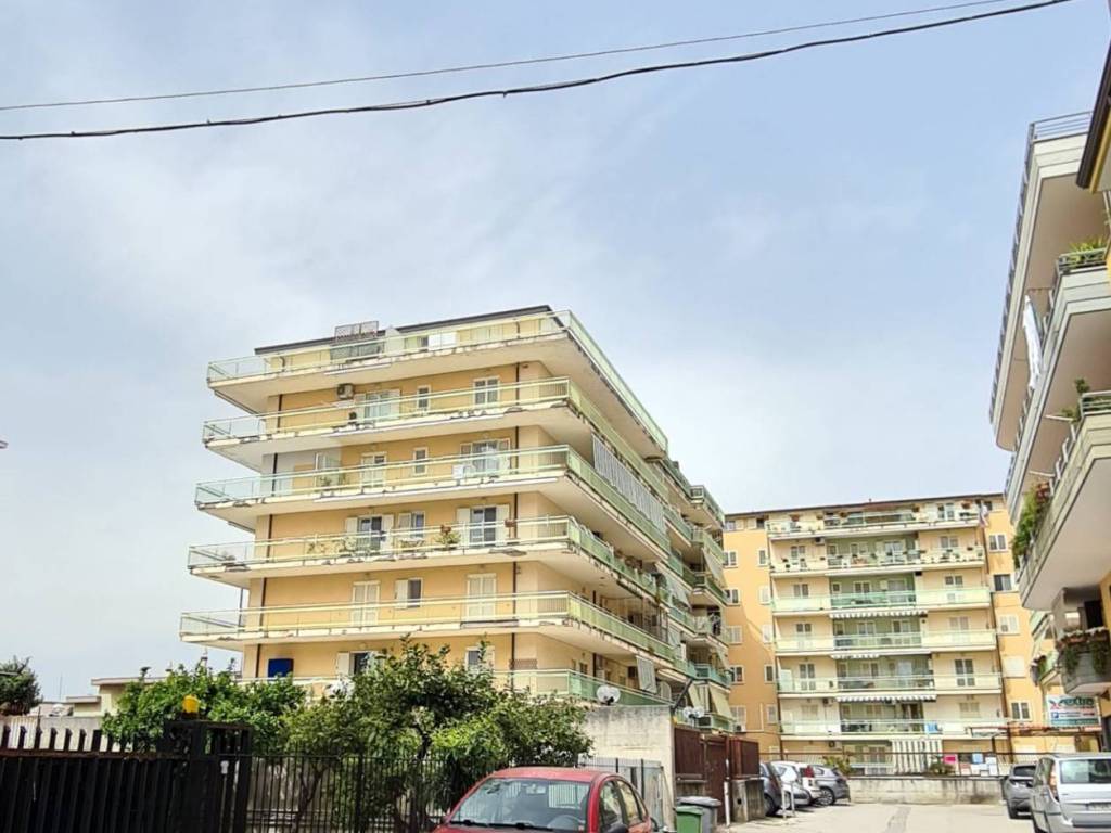 immagine annuncio 2 di 3