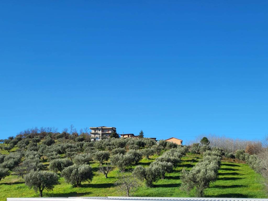 immagine annuncio 2 di 3